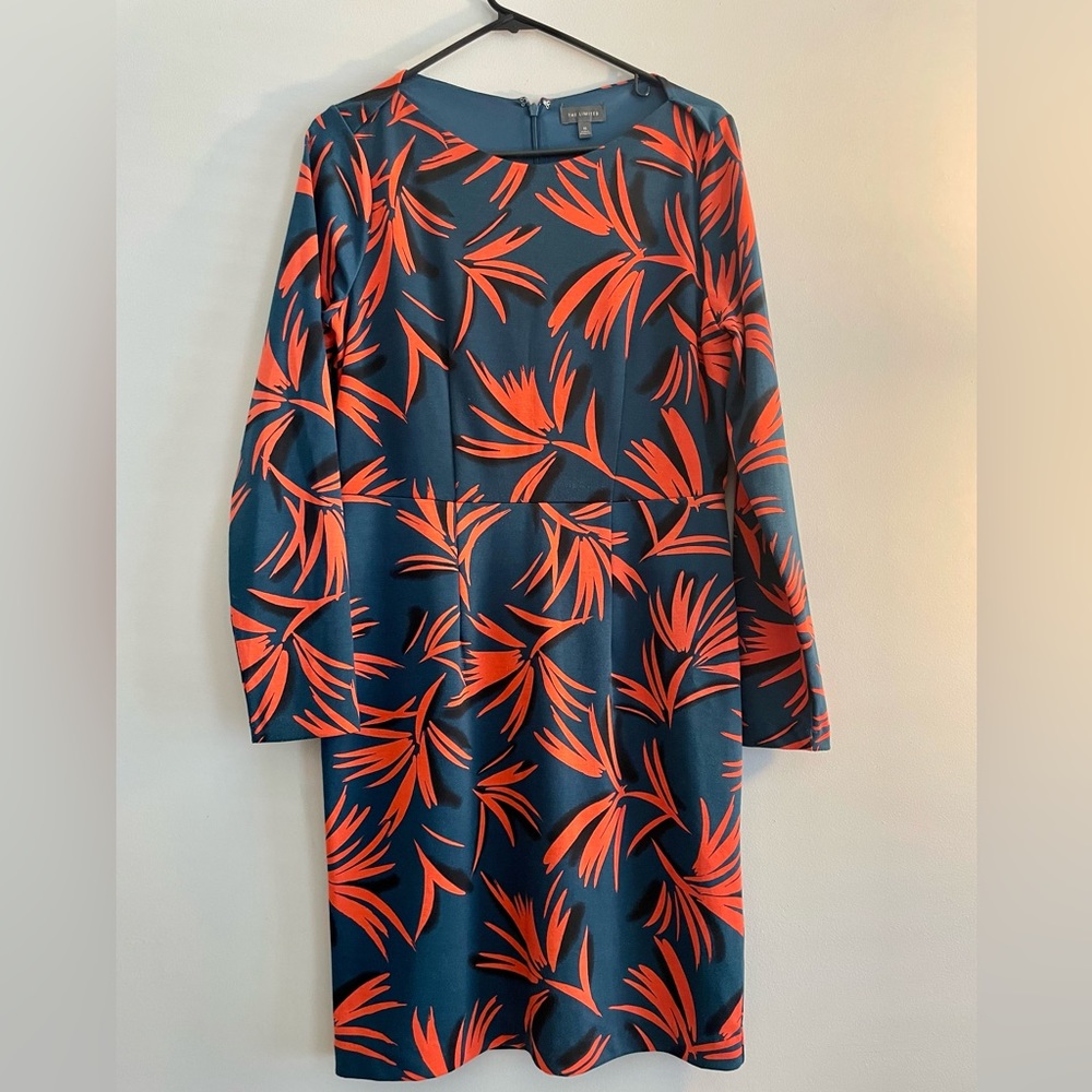 Size 10, The Limited flower designed dress